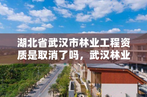 湖北省武汉市林业工程资质是取消了吗,武汉林业厅