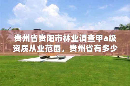 贵州省贵阳市林业调查甲a级资质从业范围,贵州省有多少家林业调查公司