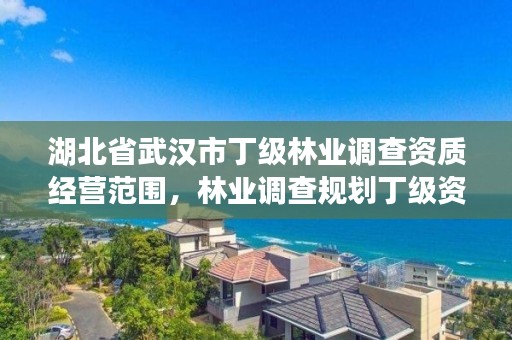 湖北省武汉市丁级林业调查资质经营范围,林业调查规划丁级资质