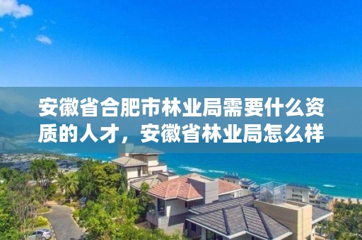 安徽省合肥市林业局需要什么资质的人才,安徽省林业局怎么样