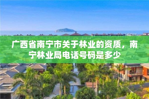 广西省南宁市关于林业的资质,南宁林业局电话号码是多少