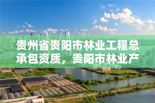 贵州省贵阳市林业工程总承包资质，贵阳市林业产业发展中心