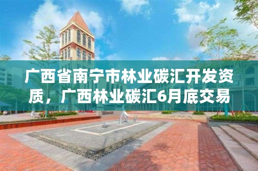 广西省南宁市林业碳汇开发资质,广西林业碳汇6月底交易