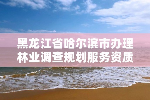 黑龙江省哈尔滨市办理林业调查规划服务资质,林业调查规划资质代办