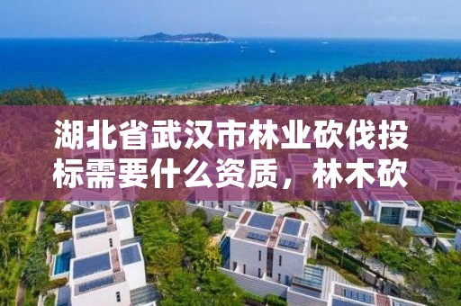 湖北省武汉市林业砍伐投标需要什么资质,林木砍伐需要什么资质