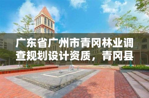 广东省广州市青冈林业调查规划设计资质，青冈县林业局局长是谁