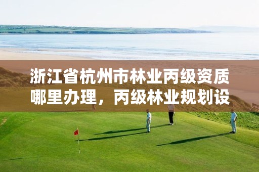浙江省杭州市林业丙级资质哪里办理，丙级林业规划设计资质