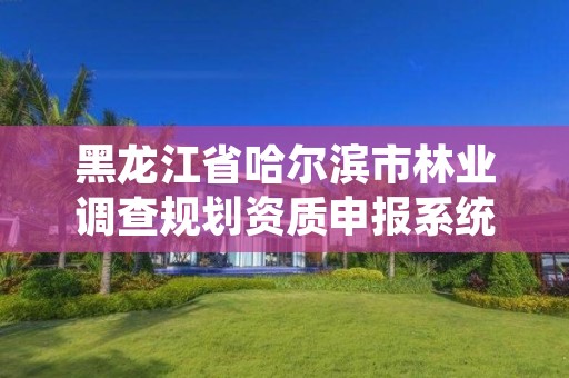 黑龙江省哈尔滨市林业调查规划资质申报系统