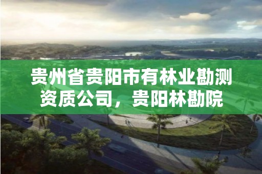 贵州省贵阳市有林业勘测资质公司，贵阳林勘院