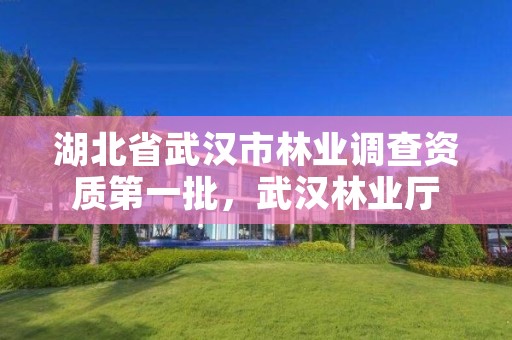 湖北省武汉市林业调查资质第一批,武汉林业厅