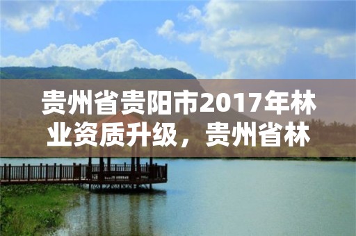 贵州省贵阳市2017年林业资质升级，贵州省林业管理办法