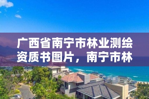 广西省南宁市林业测绘资质书图片,南宁市林业设计院