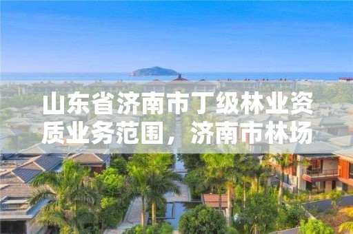 山东省济南市丁级林业资质业务范围,济南市林场是什么级别的