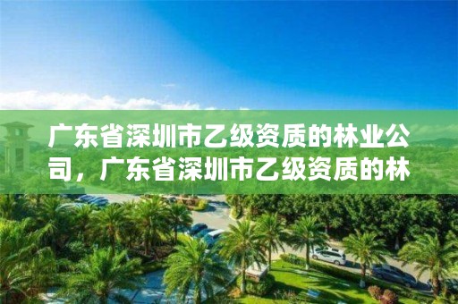 广东省深圳市乙级资质的林业公司，广东省深圳市乙级资质的林业公司有哪些