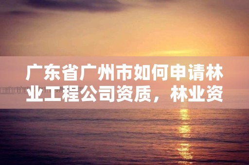 广东省广州市如何申请林业工程公司资质，林业资质如何申请办理