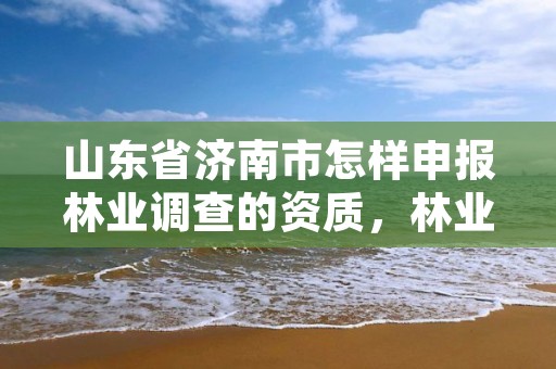山东省济南市怎样申报林业调查的资质,林业调查资质办理