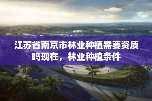 江苏省南京市林业种植需要资质吗现在,林业种植条件