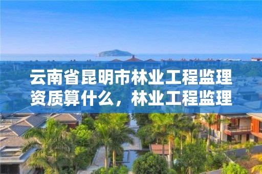 云南省昆明市林业工程监理资质算什么,林业工程监理资质证书