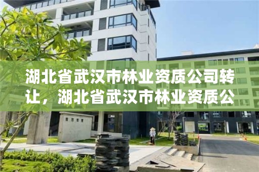 湖北省武汉市林业资质公司转让,湖北省武汉市林业资质公司转让公告