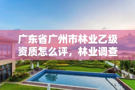 广东省广州市林业乙级资质怎么评，林业调查乙级资质证书