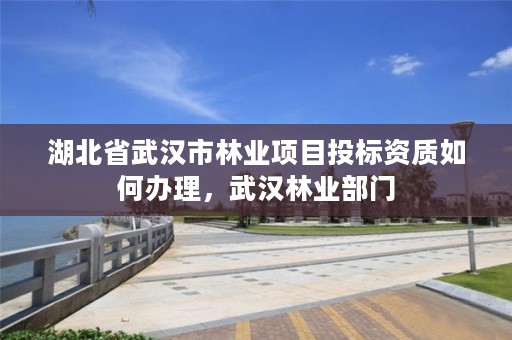 湖北省武汉市林业项目投标资质如何办理,武汉林业部门