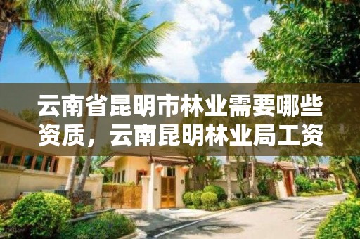 云南省昆明市林业需要哪些资质,云南昆明林业局工资待遇