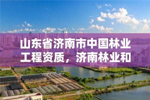 山东省济南市中国林业工程资质,济南林业和园林绿化局官网