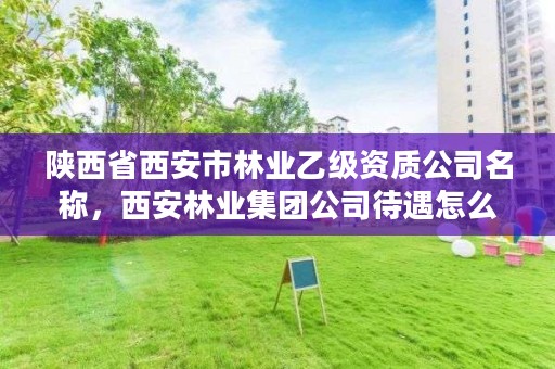 陕西省西安市林业乙级资质公司名称,西安林业集团公司待遇怎么样