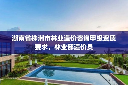 湖南省株洲市林业造价咨询甲级资质要求，林业部造价员