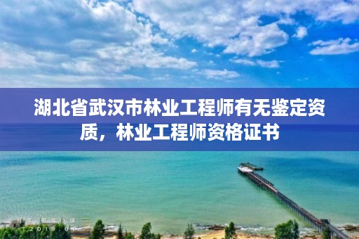 湖北省武汉市林业工程师有无鉴定资质,林业工程师资格证书