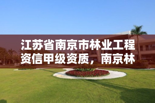 江苏省南京市林业工程资信甲级资质,南京林业设计院