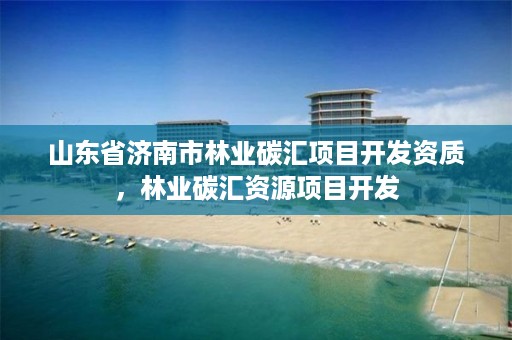 山东省济南市林业碳汇项目开发资质,林业碳汇资源项目开发