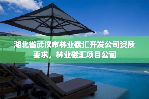 湖北省武汉市林业碳汇开发公司资质要求,林业碳汇项目公司