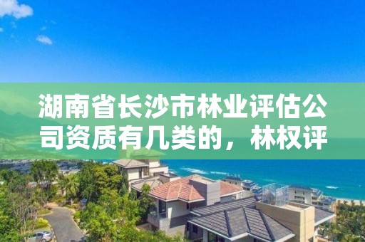 湖南省长沙市林业评估公司资质有几类的，林权评估资质机构