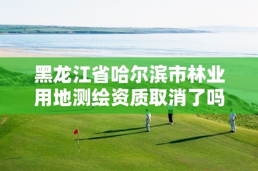 黑龙江省哈尔滨市林业用地测绘资质取消了吗,林业局测绘项目