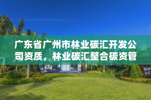 广东省广州市林业碳汇开发公司资质，林业碳汇整合碳资管上市公司