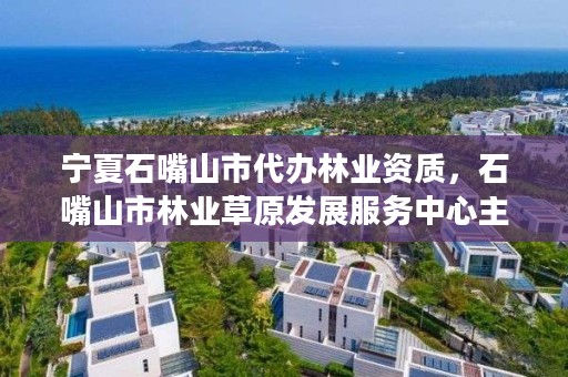宁夏石嘴山市代办林业资质,石嘴山市林业草原发展服务中心主任