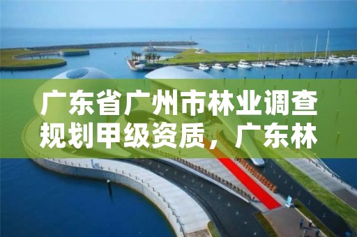 广东省广州市林业调查规划甲级资质，广东林业调查规划设计资质