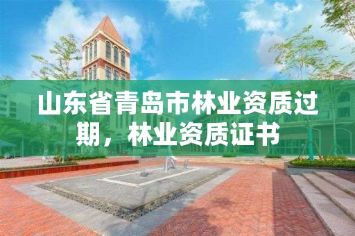 山东省青岛市林业资质过期,林业资质证书