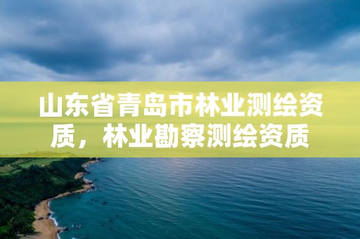 山东省青岛市林业测绘资质,林业勘察测绘资质