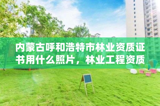 内蒙古呼和浩特市林业资质证书用什么照片,林业工程资质证书