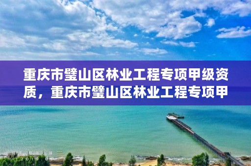 重庆市璧山区林业工程专项甲级资质,重庆市璧山区林业工程专项甲级资质企业