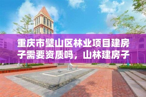 重庆市璧山区林业项目建房子需要资质吗,山林建房子需要批准吗