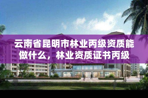 云南省昆明市林业丙级资质能做什么,林业资质证书丙级