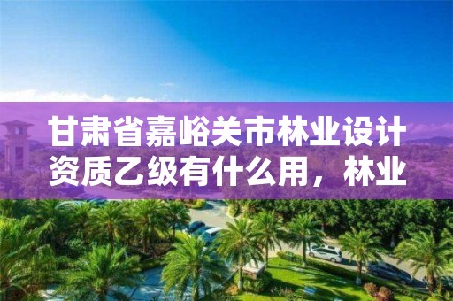 甘肃省嘉峪关市林业设计资质乙级有什么用,林业勘察设计丙级资质