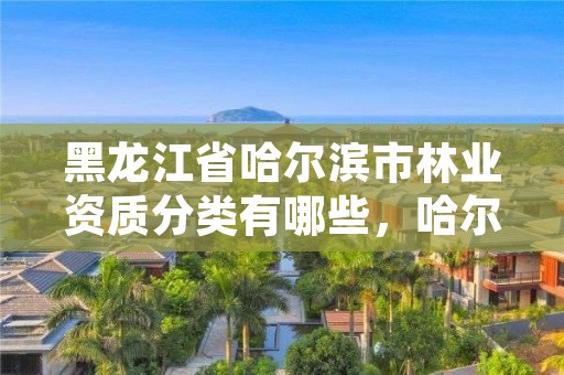 黑龙江省哈尔滨市林业资质分类有哪些,哈尔滨林业厅地址