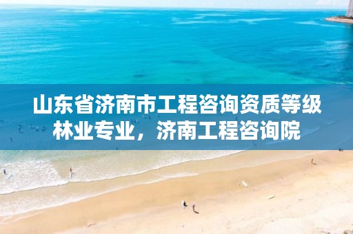 山东省济南市工程咨询资质等级林业专业,济南工程咨询院