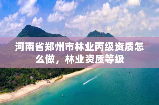 河南省郑州市林业丙级资质怎么做,林业资质等级
