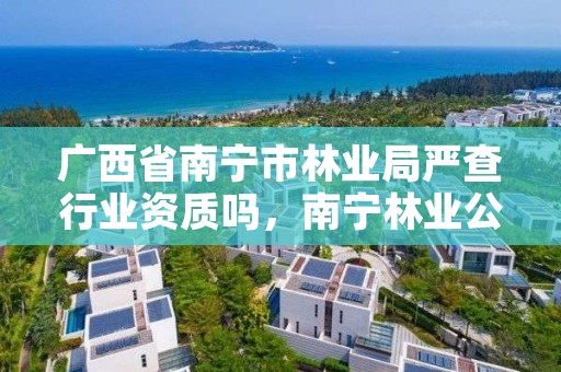 广西省南宁市林业局严查行业资质吗,南宁林业公司