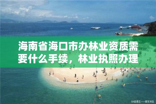 海南省海口市办林业资质需要什么手续,林业执照办理流程